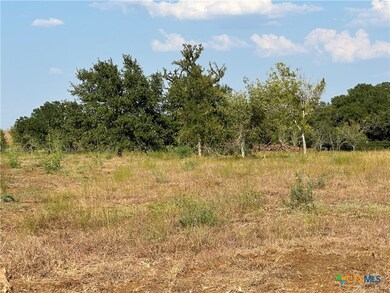 5894 Fm 1107 Unit B-Tract 1, Stockdale, TX 78160 - photo 6