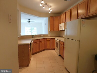 700 Cattail Cove, Cambridge, MD 21613 - photo 5