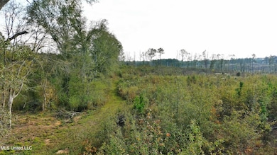 0 Grandview Ln SE, Bogue Chitto, MS 39629 - photo 2