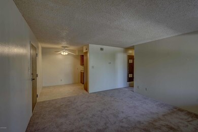New carpeting
