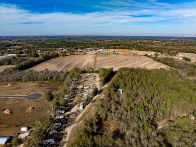 51.8+-ac Hadden Rd, Rehobeth, AL 36301 - photo 7