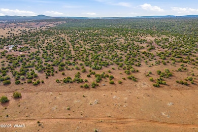 0 Silver Lake Blvd 16 32 Acres, Show Low, AZ 85901 - photo 6