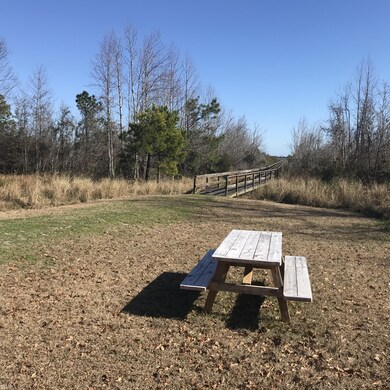 214 Royal Palms Way, Holly Ridge, NC 28445 - photo 4