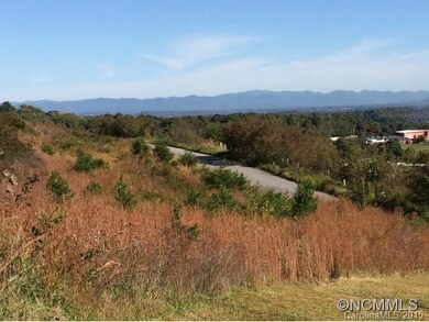 9999 Fallen Spruce Dr, Asheville, NC 28806 - photo 3