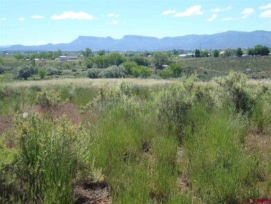 0 Road 24 6 unit 707703, Cortez, CO 81321 - photo 3