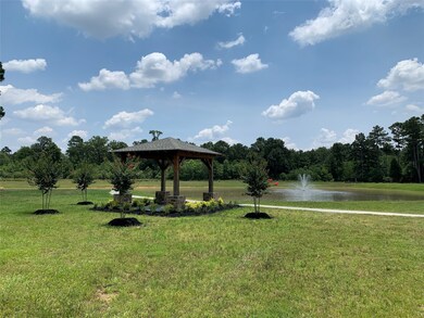31111 Roanoke Woods Dr, Tomball, TX 77375 - photo 4