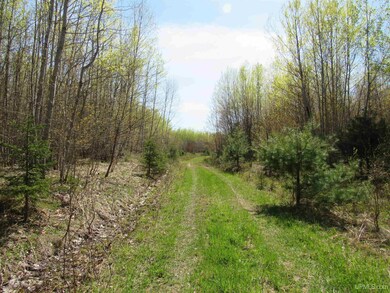 TBD Off Rice Lake Rd unit No Drive Bys, Lake Linden, MI 49945 - photo 3