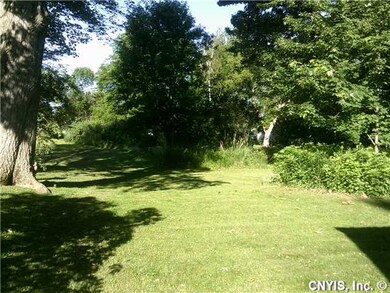 Yard Good size yard