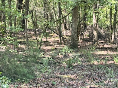 0 Hwy 29 N unit CL335575, Danielsville, GA 30633 - photo 7