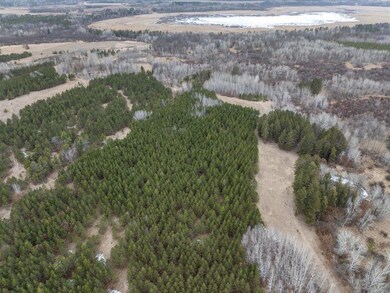 19146 320th St, Sebeka, MN 56477 - photo 6