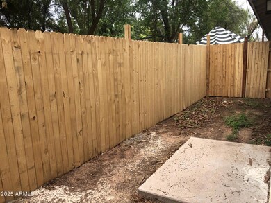 Backyard Clark