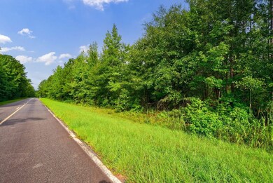 0 Prospect Church Rd, Norwood, GA 30821 - photo 4