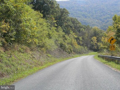 SECTION II Deer Rapids Rd, District 6, VA 22657 - photo 2