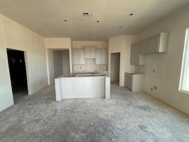 2300 Shamrock Ln, Weatherford, TX 76087 - photo 5