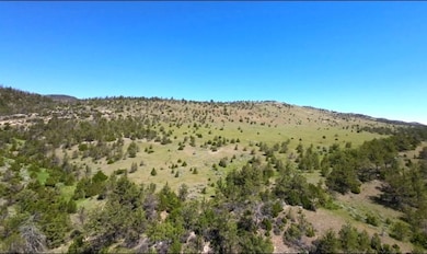 TBD Dozer Rd, Cardwell, MT 59721 - photo 3