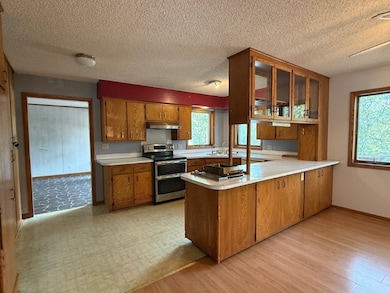 16 S Hills Loop, Holiday Island, AR 72631 - photo 4