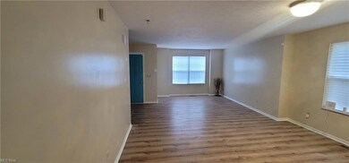 Open living and dinning rooms