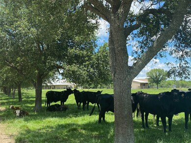 16108 Jackson Rd, East Bernard, TX 77435 - photo 4