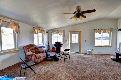 631 Murphy Rd, Como, CO 80432 - photo 6