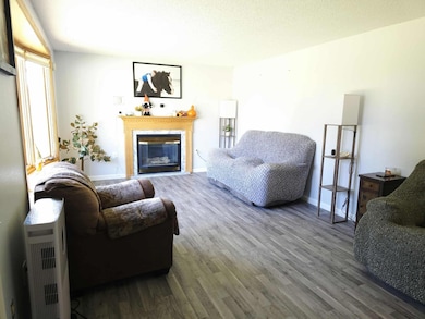 13919 State Highway 32 SE, Red Lake Falls, MN 56750 - photo 3