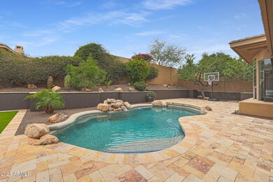 Backyard Oasis!
