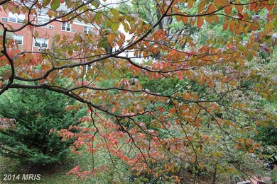 1751 Preston Rd unit N/A, Alexandria, VA 22302 - photo 4