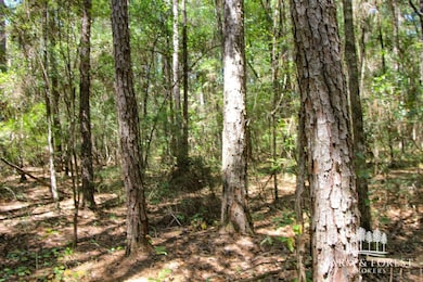 Coates Road (Off), Bonifay, FL 32425 - photo 6