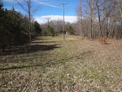 5185 E 96th St, Newaygo, MI 49337 - photo 6