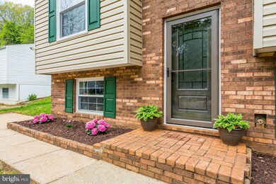 424 Blossom Tree Ct, Annapolis, MD 21409 - photo 5