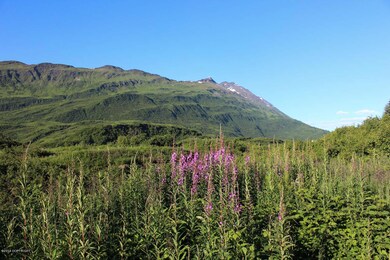 5445 Kodiak Core, Valdez, AK 99686 - photo 6