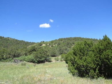 IMG_8075