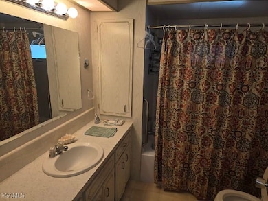 9 Elder St, Alva, FL 33920 - photo 6