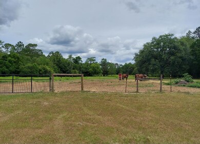 230 Lost Creek Ln, Crawfordville, FL 32327 - photo 3