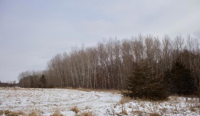 16XXX 4th Ave E, Lynden Township, MN 55382 - photo 3