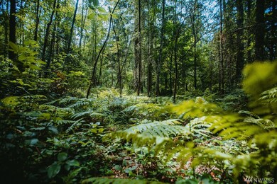 0 SW 192nd St, Vashon, WA 98070 - photo 2