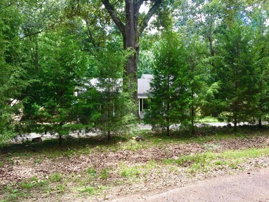 nice privacy trees