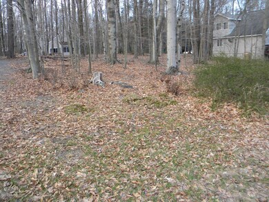 93 Wallenpaupack Dr, Lake Ariel, PA 18436 - photo 3