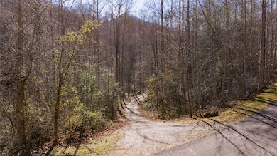 3 Waterdance Dr, Cullowhee, NC 28723 - photo 7