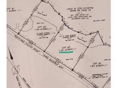 Lot 3 meadow