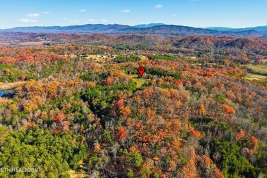 1518 Tom McCall Rd, Maryville, TN 37801 - photo 4