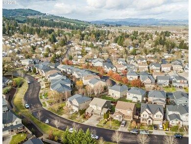Drone View/UAV