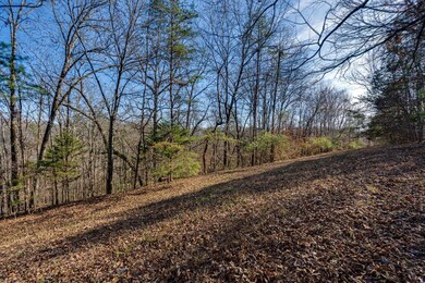 5831 Hunter Rd, Ooltewah, TN 37363 - photo 6