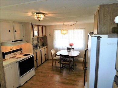 5331 Flint St, Zephyrhills, FL 33542 - photo 7