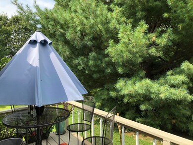 Back Deck 2