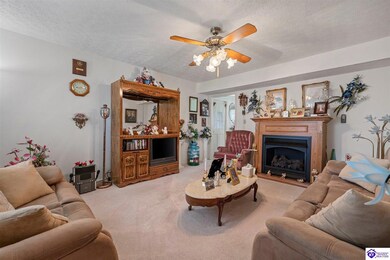 140 Fountain View Dr, Leitchfield, KY 42754 - photo 5