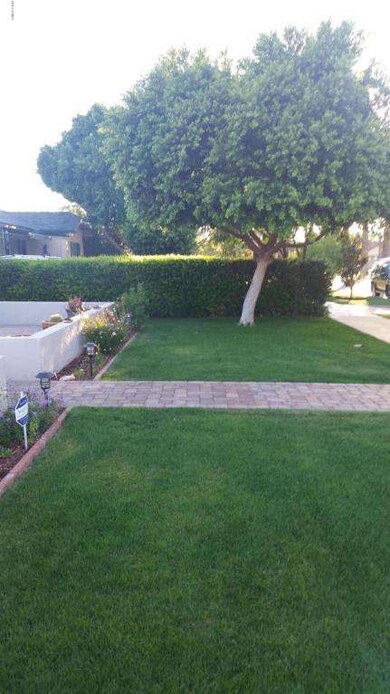 Front Yard