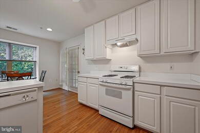 9450 Wordsworth Way unit 304, Owings Mills, MD 21117 - photo 6