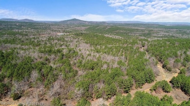 Tract 5 SE 179th, Wilburton, OK 74578 - photo 7