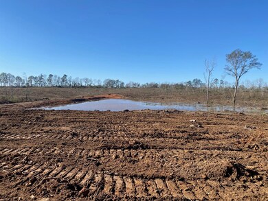 Lake construction