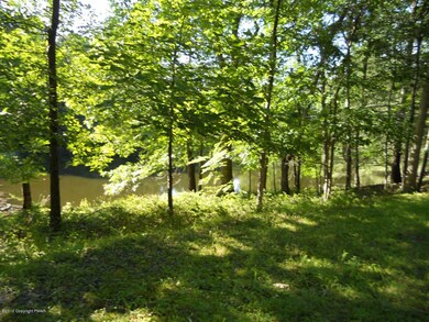 View of Pond
